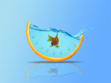 شرکت تکانه نو